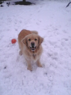der Bekloppteste von uns